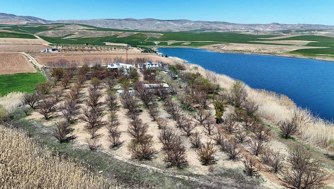 Tarımda tarihin en büyük felaketi yaşanıyor! Meyve, sebze fiyatlarında rekor artış yaşanacak 38